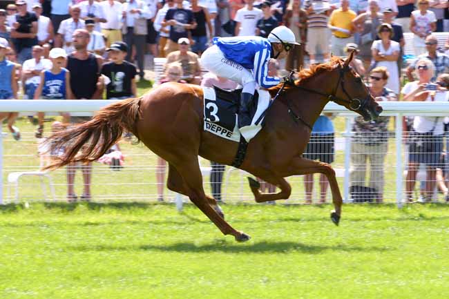 Photo d'arrivée de la course pmu PRIX TOYS MOTORS DIEPPE à DIEPPE le Lundi 22 juillet 2019