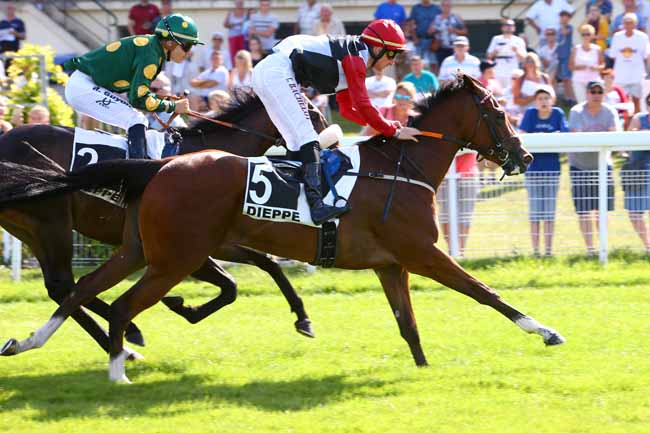 Photo d'arrivée de la course pmu PRIX DES MOTEURS HYBRID à DIEPPE le Lundi 22 juillet 2019