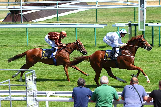 Photo d'arrivée de la course pmu PRIX DE DRESLINCOURT à COMPIEGNE le Mardi 23 juillet 2019