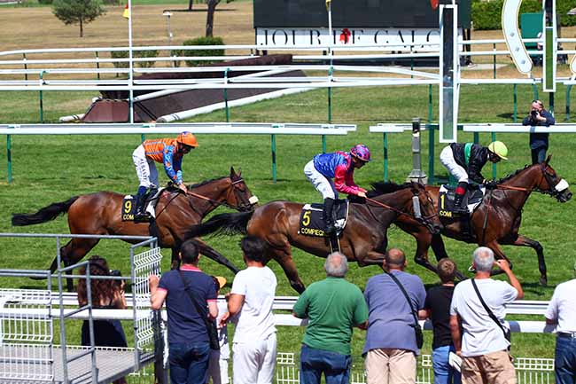 Photo d'arrivée de la course pmu PRIX DES BEAUX MONTS à COMPIEGNE le Mardi 23 juillet 2019