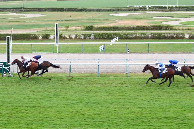 Photo d'arrivée de la course pmu PRIX DU CARROUSEL à DEAUVILLE le Vendredi 26 juillet 2019