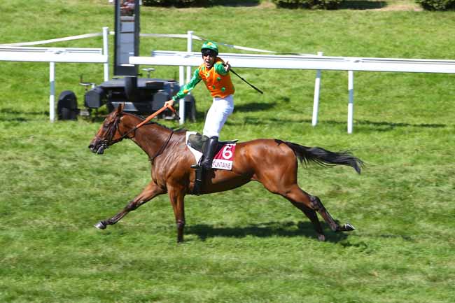 Photo d'arrivée de la course pmu PRIX GUY DU FAUR DE PIBRAC à CLAIREFONTAINE le Lundi 29 juillet 2019