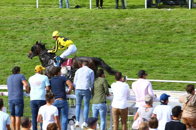 Photo d'arrivée de la course pmu PRIX BISCUITERIE JEANNETTE ET CITRONNADE MIMOUNA à CLAIREFONTAINE le Jeudi 1 août 2019