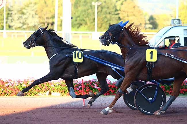 Photo d'arrivée de la course pmu PRIX DES LYS à CABOURG le Vendredi 2 août 2019