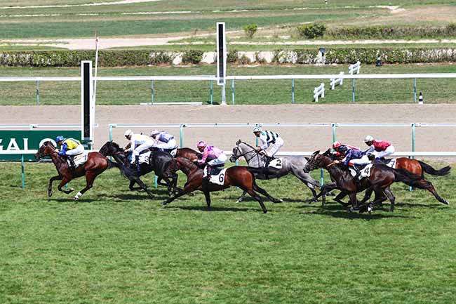 Photo d'arrivée de la course pmu PRIX D'ETREHAM à DEAUVILLE le Vendredi 2 août 2019