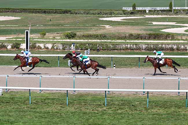 Photo d'arrivée de la course pmu PRIX DU SECOURS POPULAIRE FRANCAIS à DEAUVILLE le Vendredi 2 août 2019
