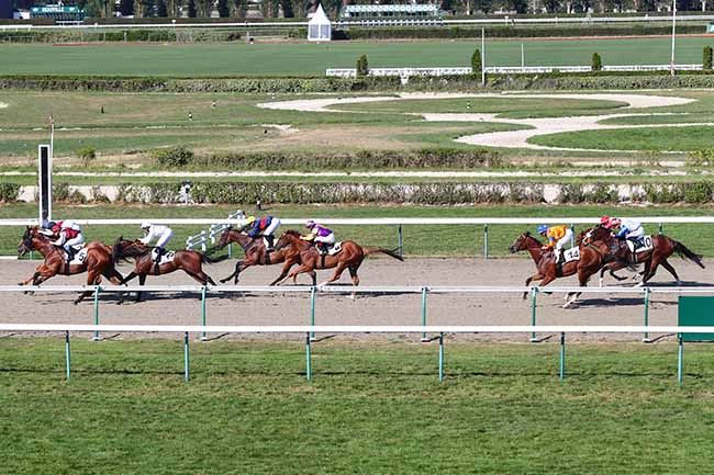 Photo d'arrivée de la course pmu PRIX DE BEUZEVILLE à DEAUVILLE le Vendredi 2 août 2019