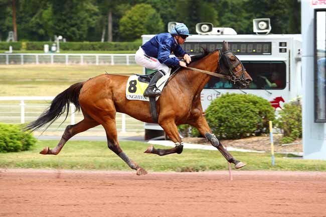 Photo d'arrivée de la course pmu PRIX DE FORGES-LES-EAUX à ENGHIEN le Samedi 3 août 2019