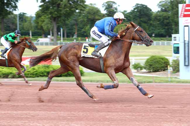 Photo d'arrivée de la course pmu PRIX DE LA PORTE DE PLAISANCE à ENGHIEN le Dimanche 4 août 2019
