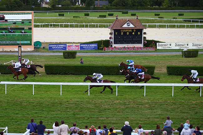 Photo d'arrivée de la course pmu PRIX VILLE DE VAUVILLE à CLAIREFONTAINE le Lundi 5 août 2019