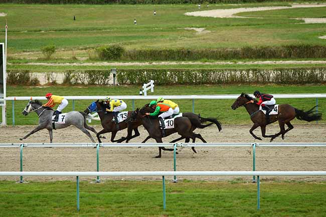 Photo d'arrivée de la course pmu PRIX DU GRAND DEBRIEF EQUIDIA à DEAUVILLE le Mardi 6 août 2019