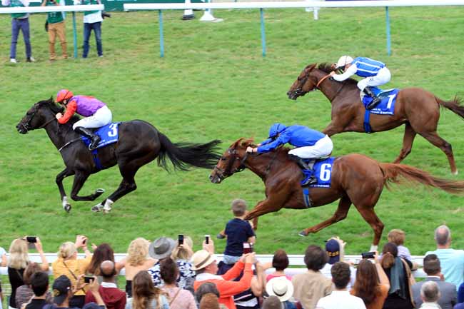 Photo d'arrivée de la course pmu PRIX JACQUES LE MAROIS à DEAUVILLE le Dimanche 11 août 2019
