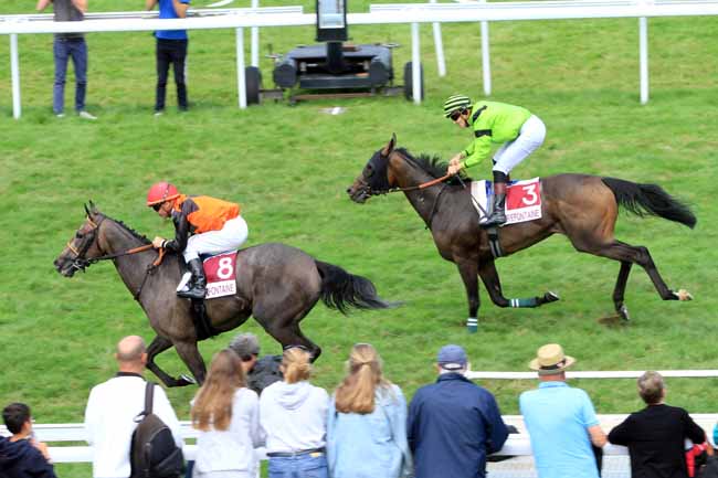 Photo d'arrivée de la course pmu PRIX DES CHARDONS BLEUS à CLAIREFONTAINE le Lundi 12 août 2019