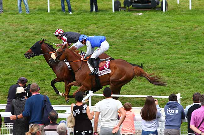 Photo d'arrivée de la course pmu PRIX INVEST PAU PYRENEES à CLAIREFONTAINE le Vendredi 16 août 2019