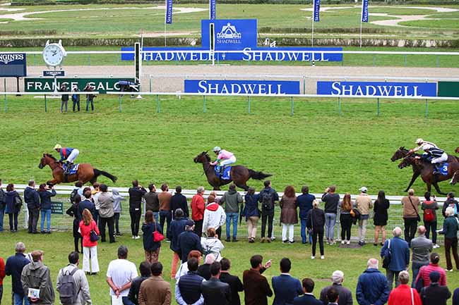 Photo d'arrivée de la course pmu PRIX DES ETALONS SHADWELL à DEAUVILLE le Samedi 17 août 2019