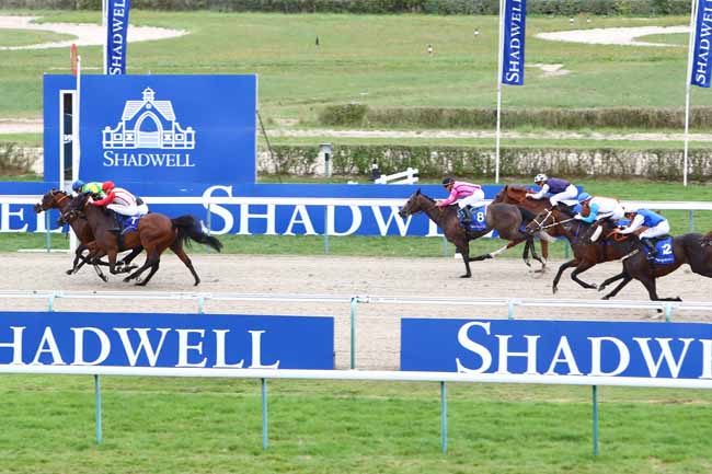 Photo d'arrivée de la course pmu PRIX ETALON MUHTATHIR AU HARAS DU MEZERAY à DEAUVILLE le Samedi 17 août 2019