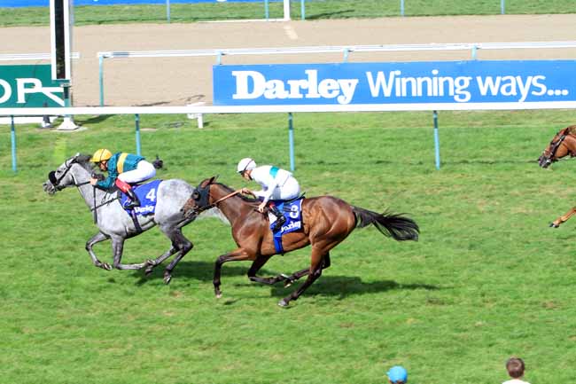 Photo d'arrivée de la course pmu DARLEY PRIX JEAN ROMANET à DEAUVILLE le Dimanche 18 août 2019