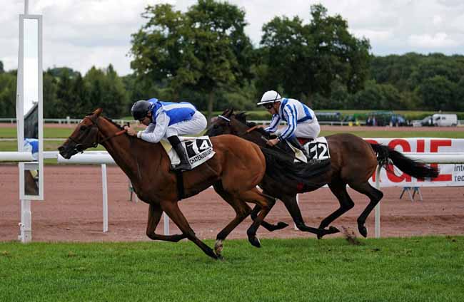 Photo d'arrivée de la course pmu PRIX GUY RAYNARD à CHATEAUBRIANT le Lundi 19 août 2019