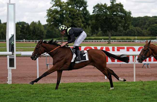 Photo d'arrivée de la course pmu PRIX DES ETOILES à CHATEAUBRIANT le Lundi 19 août 2019