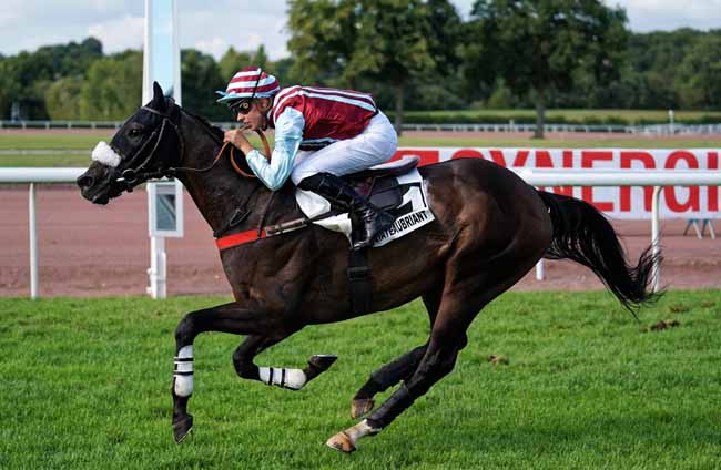Photo d'arrivée de la course pmu PRIX DJARVIS à CHATEAUBRIANT le Lundi 19 août 2019