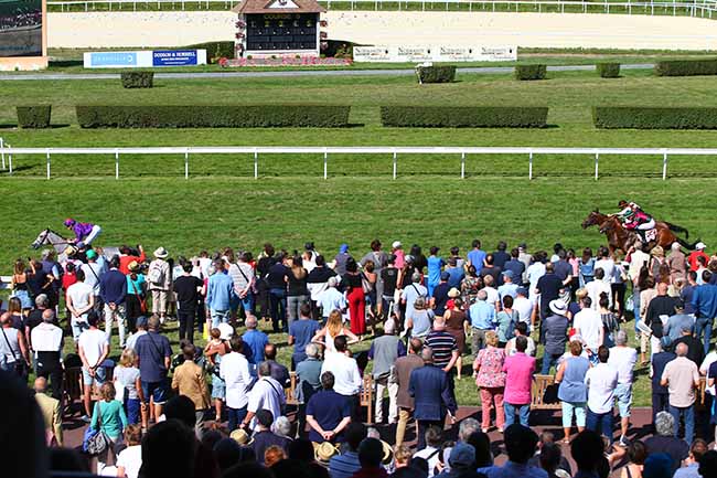 Photo d'arrivée de la course pmu PRIX DE LA FERME DE LA VALLEE AU TANNEUR à CLAIREFONTAINE le Jeudi 22 août 2019