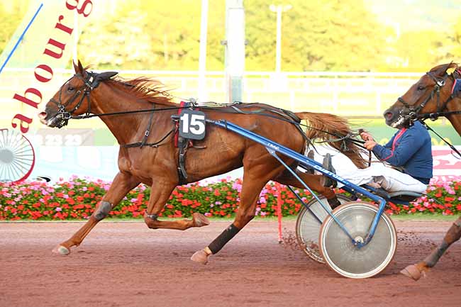 Photo d'arrivée de la course pmu PRIX LOCATECH ARTIFICE à CABOURG le Vendredi 23 août 2019