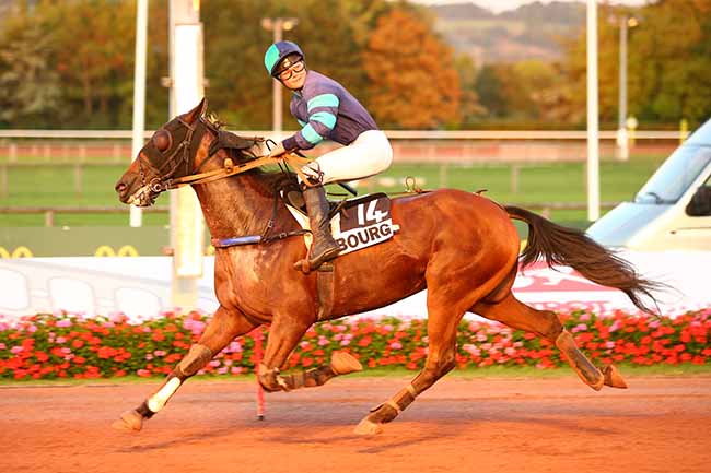Photo d'arrivée de la course pmu PRIX D'ALENCON à CABOURG le Vendredi 23 août 2019