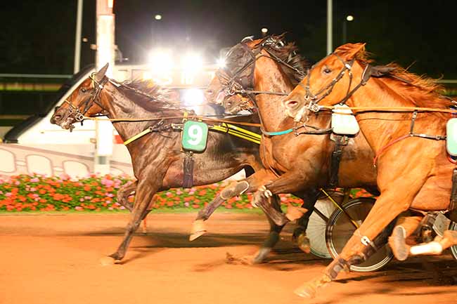 Photo d'arrivée de la course pmu PRIX DS STORE CAEN-GROUPE MARY à CABOURG le Vendredi 23 août 2019