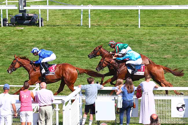 Photo d'arrivée de la course pmu PRIX HIGHEST HONOR à CLAIREFONTAINE le Lundi 26 août 2019