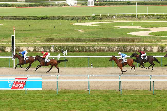 Photo d'arrivée de la course pmu PRIX DU HAMEL à DEAUVILLE le Mercredi 28 août 2019