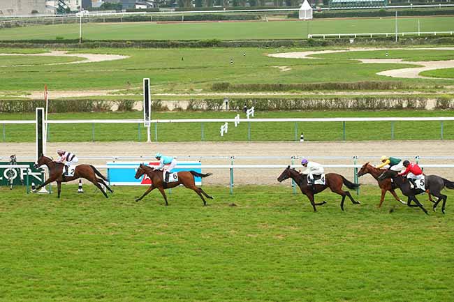 Photo d'arrivée de la course pmu PRIX DU JOURNAL DU PAYS D'AUGE - PRIX TANIT à DEAUVILLE le Mercredi 28 août 2019