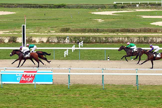 Photo d'arrivée de la course pmu PRIX DE LOUVIERES-EN-AUGE à DEAUVILLE le Mercredi 28 août 2019