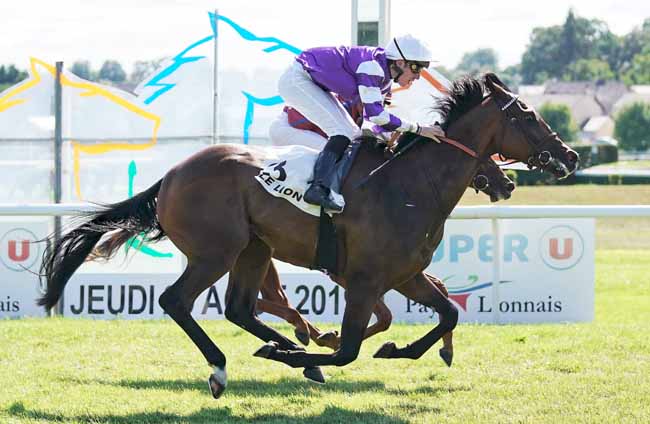 Photo d'arrivée de la course pmu PRIX PAUL SAULOU à LE LION D'ANGERS le Jeudi 29 août 2019