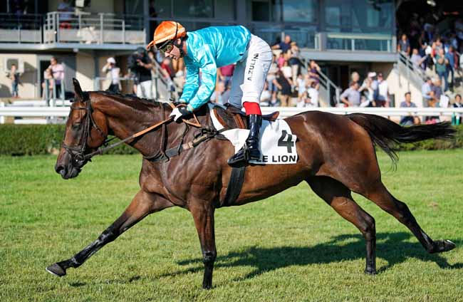 Photo d'arrivée de la course pmu PRIX DE CHAMBELLAY à LE LION D'ANGERS le Jeudi 29 août 2019