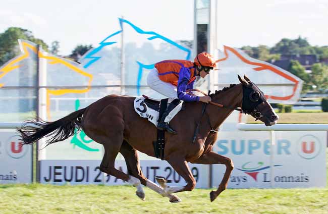 Photo d'arrivée de la course pmu PRIX QUEDLIMBOURG à LE LION D'ANGERS le Jeudi 29 août 2019