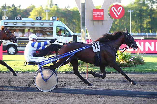 Photo d'arrivée de la course pmu PRIX DE L'ALLIER à PARIS-VINCENNES le Jeudi 29 août 2019