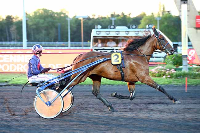 Photo d'arrivée de la course pmu PRIX DE CAGNES-SUR-MER à PARIS-VINCENNES le Jeudi 29 août 2019
