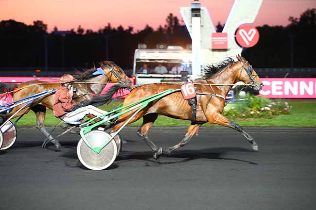 Photo d'arrivée de la course pmu PRIX DE BOSC RENOULT à PARIS-VINCENNES le Jeudi 29 août 2019