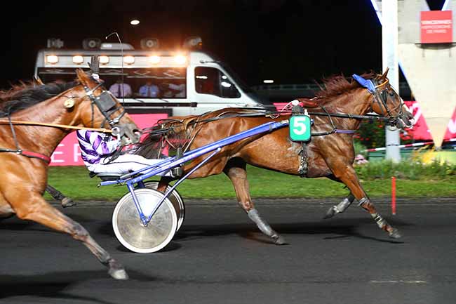 Photo d'arrivée de la course pmu PRIX DE SAINT-DIE à PARIS-VINCENNES le Jeudi 29 août 2019