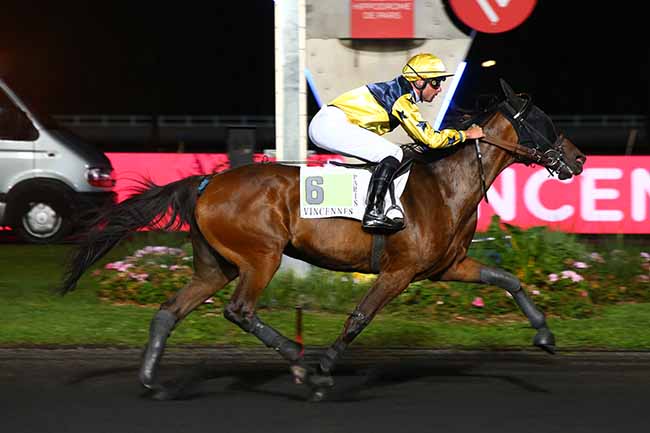 Photo d'arrivée de la course pmu PRIX D'ECOMMOY à PARIS-VINCENNES le Jeudi 29 août 2019