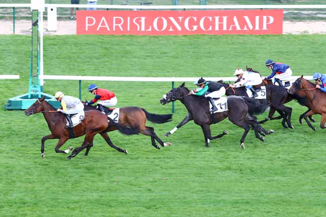 Photo d'arrivée de la course pmu PRIX DE LA CITE à LONGCHAMP le Dimanche 1 septembre 2019
