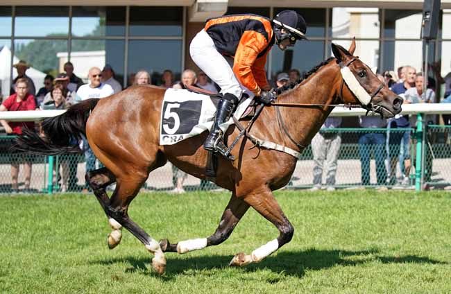 Photo d'arrivée de la course pmu PRIX DE LA SAYETTE à CRAON le Lundi 2 septembre 2019