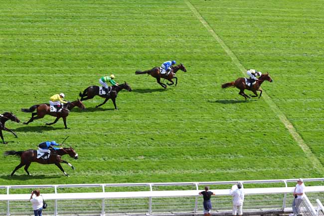 Photo d'arrivée de la course pmu PRIX ACHILLE-FOULD à AUTEUIL le Mardi 3 septembre 2019