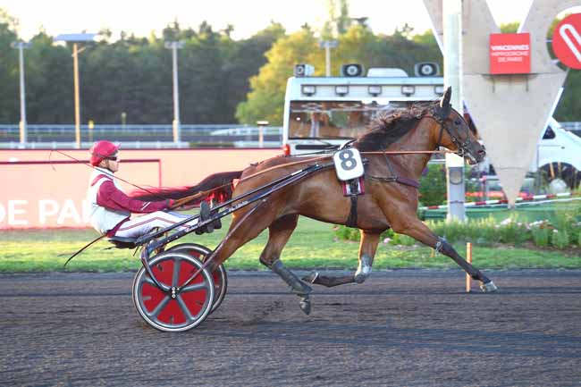 Photo d'arrivée de la course pmu PRIX AMBROSIA à PARIS-VINCENNES le Mardi 3 septembre 2019