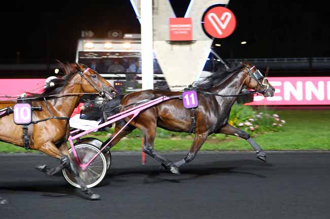Photo d'arrivée de la course pmu PRIX BADENIA à PARIS-VINCENNES le Mardi 3 septembre 2019