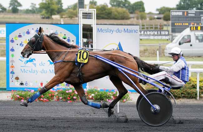 Photo d'arrivée de la course pmu GRAND NATIONAL DU TROT PARIS-TURF à MESLAY-DU-M. le Mercredi 4 septembre 2019