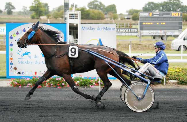 Photo d'arrivée de la course pmu PRIX DU GROUPE SECHE à MESLAY-DU-M. le Mercredi 4 septembre 2019