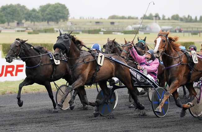 Photo d'arrivée de la course pmu PRIX LES GORRONAISES à MESLAY-DU-M. le Mercredi 4 septembre 2019