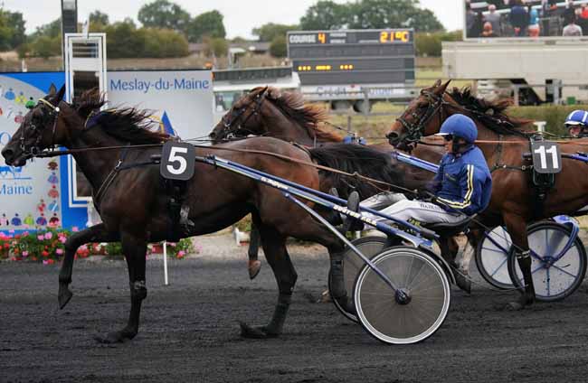 Photo d'arrivée de la course pmu GRAND PRIX DE LA VILLE DE MESLAY-DU-MAINE à MESLAY-DU-M. le Mercredi 4 septembre 2019