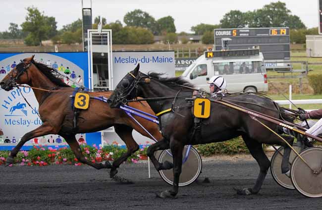 Photo d'arrivée de la course pmu PRIX DE LA COMMUNAUTE DE COMMUNES PAYS MESLAY-GREZ à MESLAY-DU-M. le Mercredi 4 septembre 2019